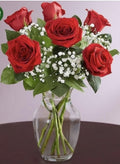 6 Rose Elegance red