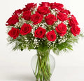 24 Rose Elegance red